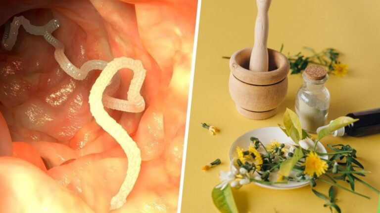 Dieser vergessene Trick könnte dir helfen, lästige Parasiten ganz natürlich loszuwerden…